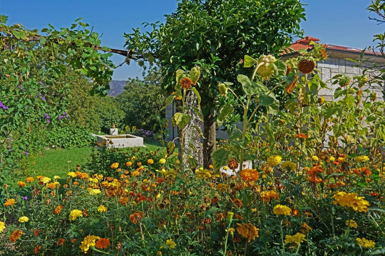 法菲 Casa Do Vale旅馆 外观 照片