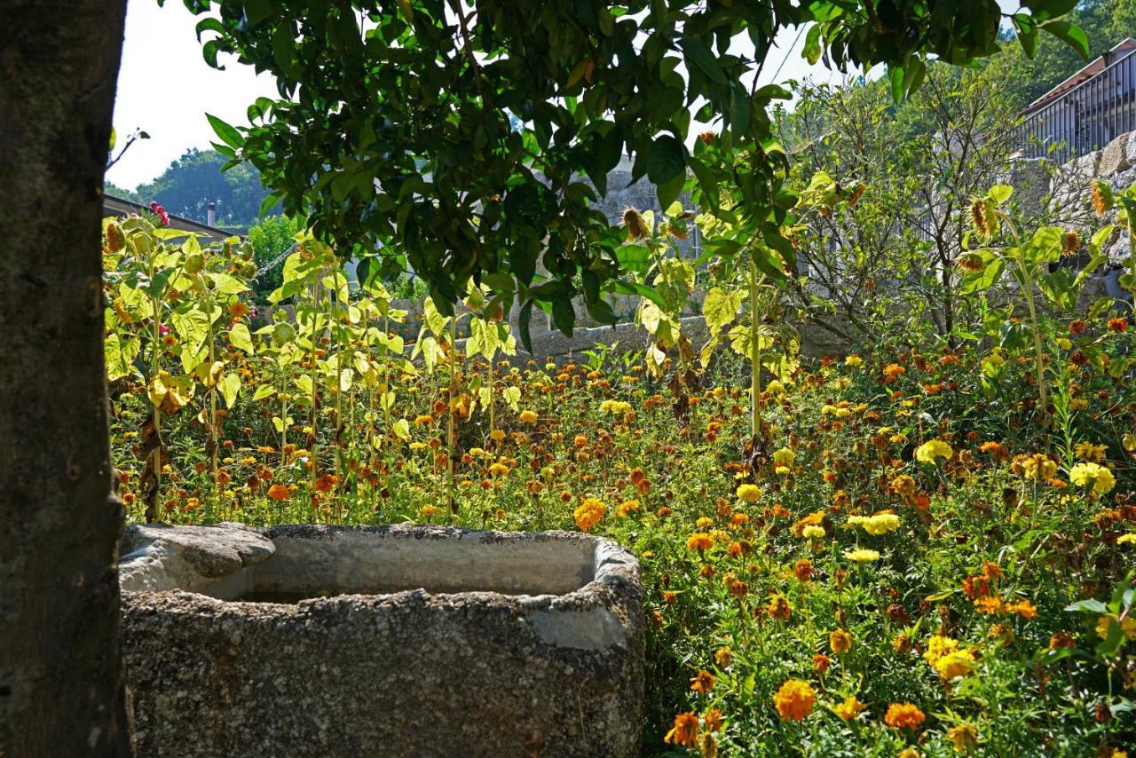 法菲 Casa Do Vale旅馆 外观 照片